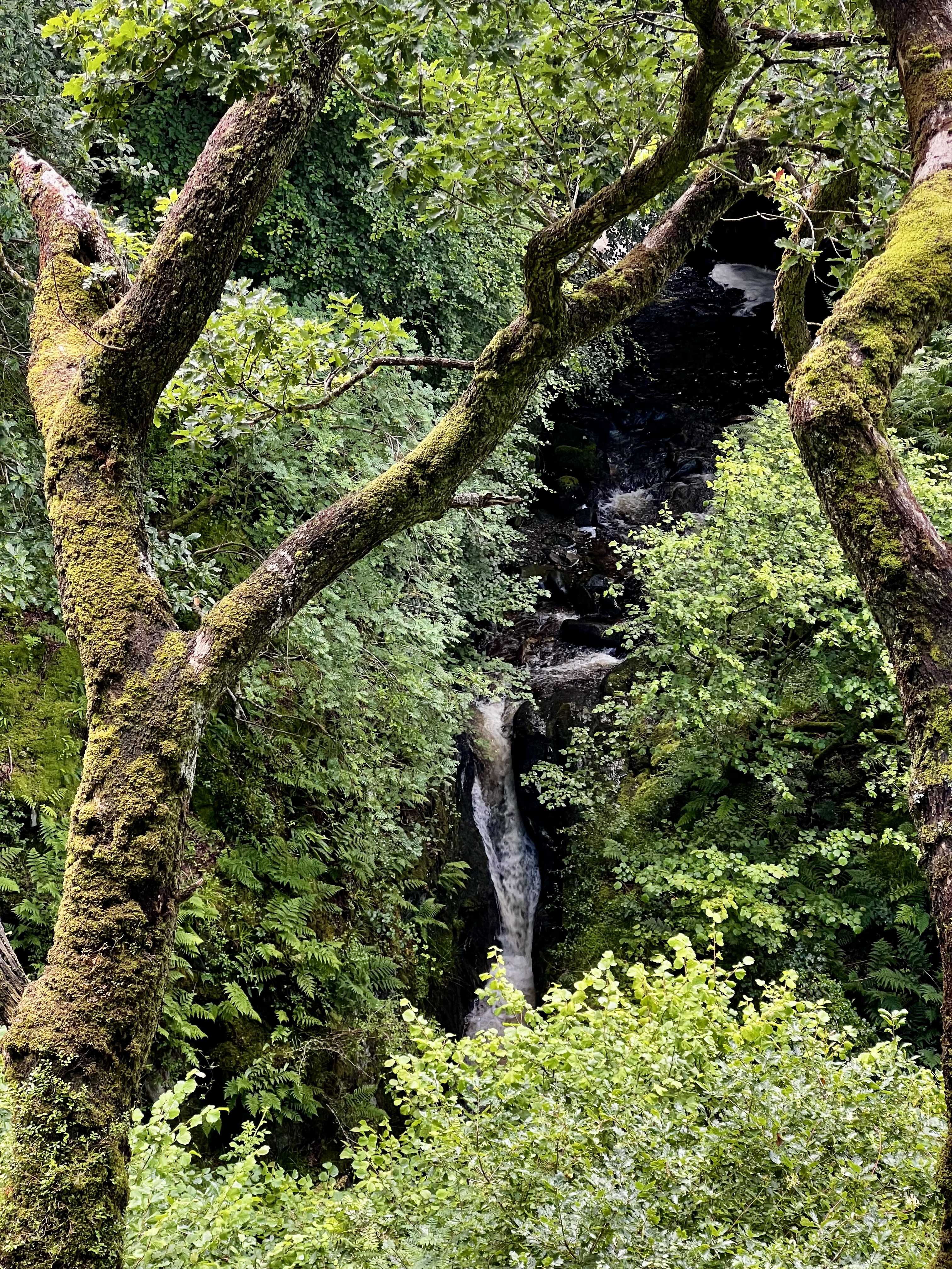 Waterfall