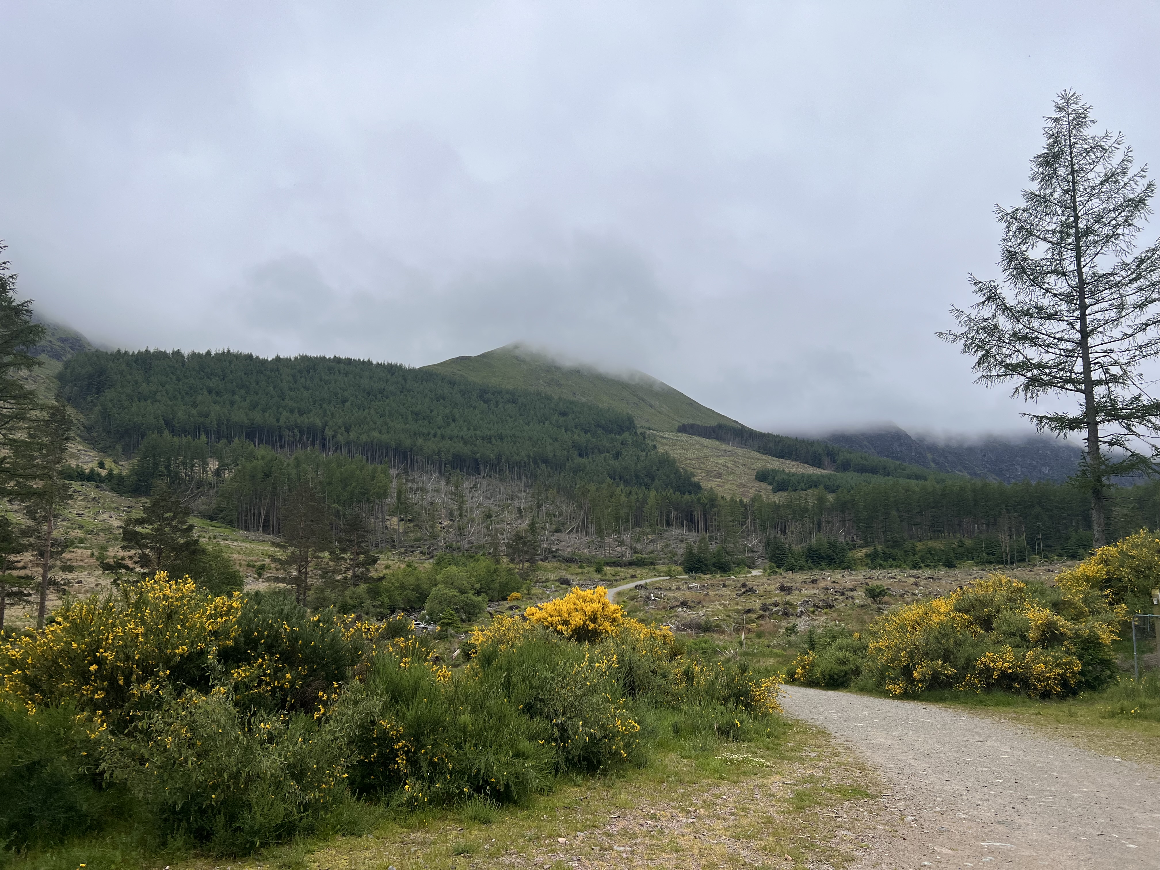 A cloudy day