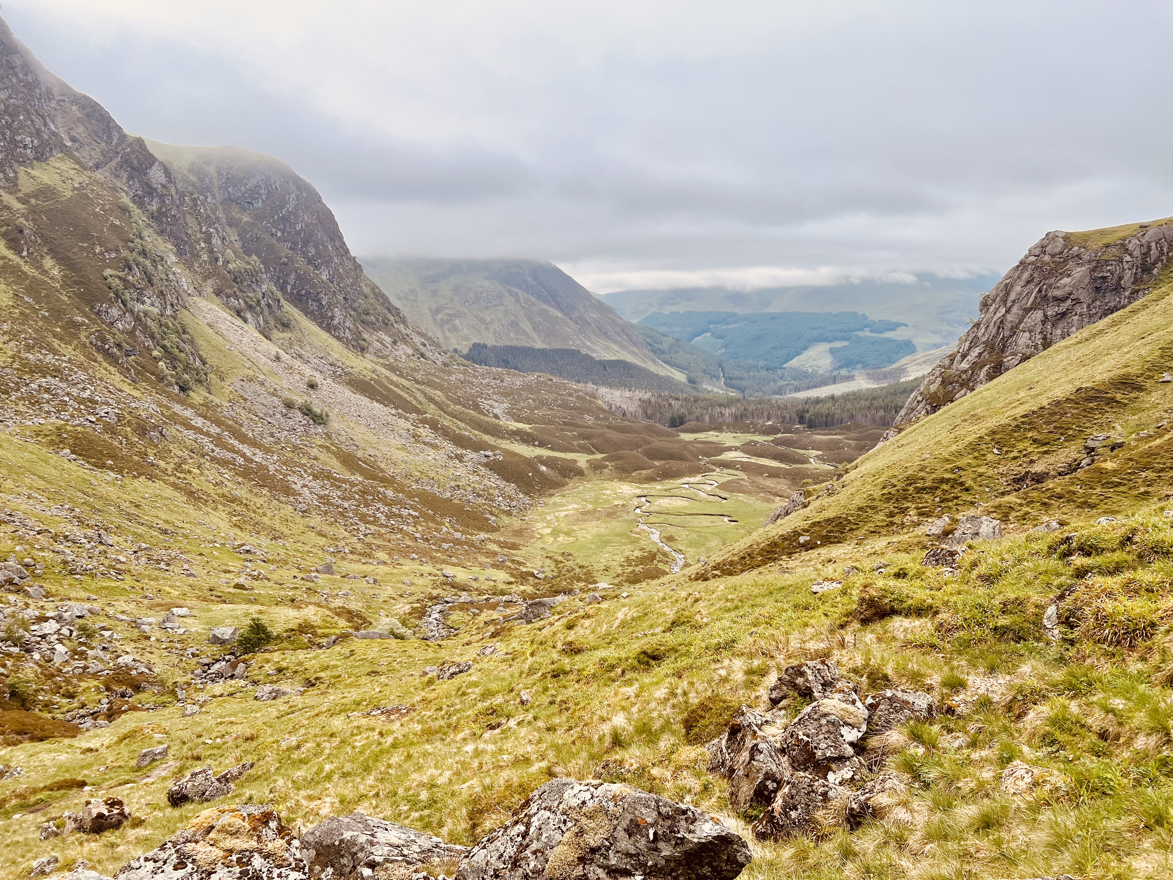 Corrie Fee