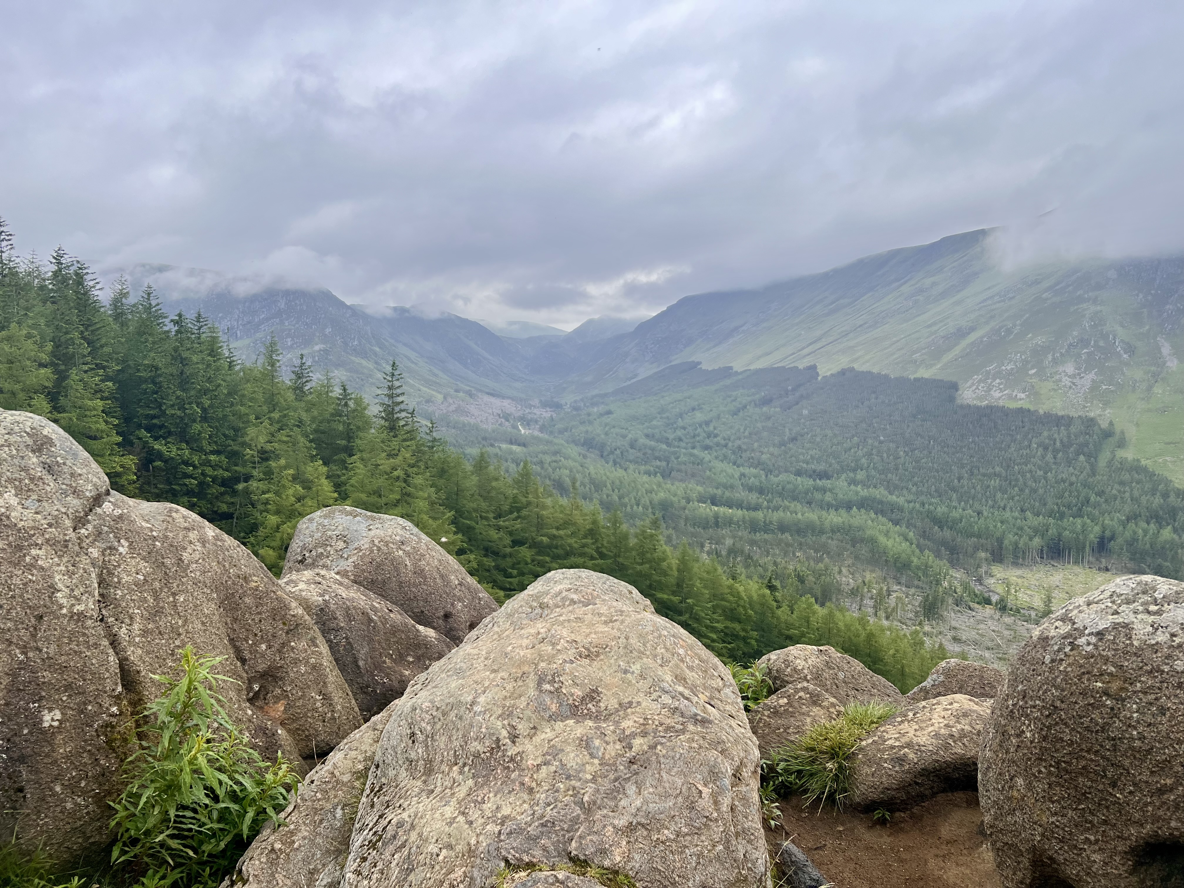 Tom Buidhe in the distance