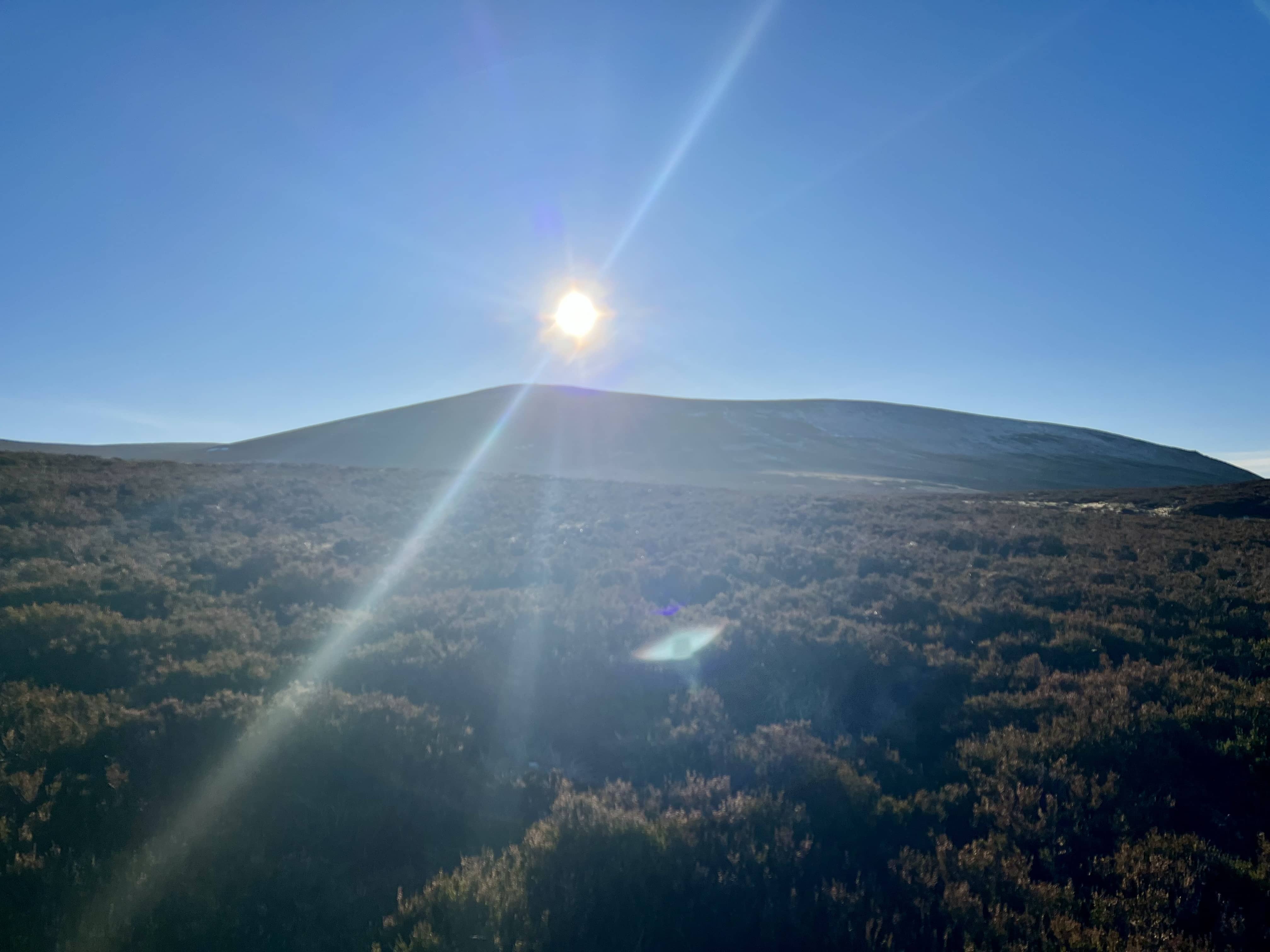 Looking up at the summit