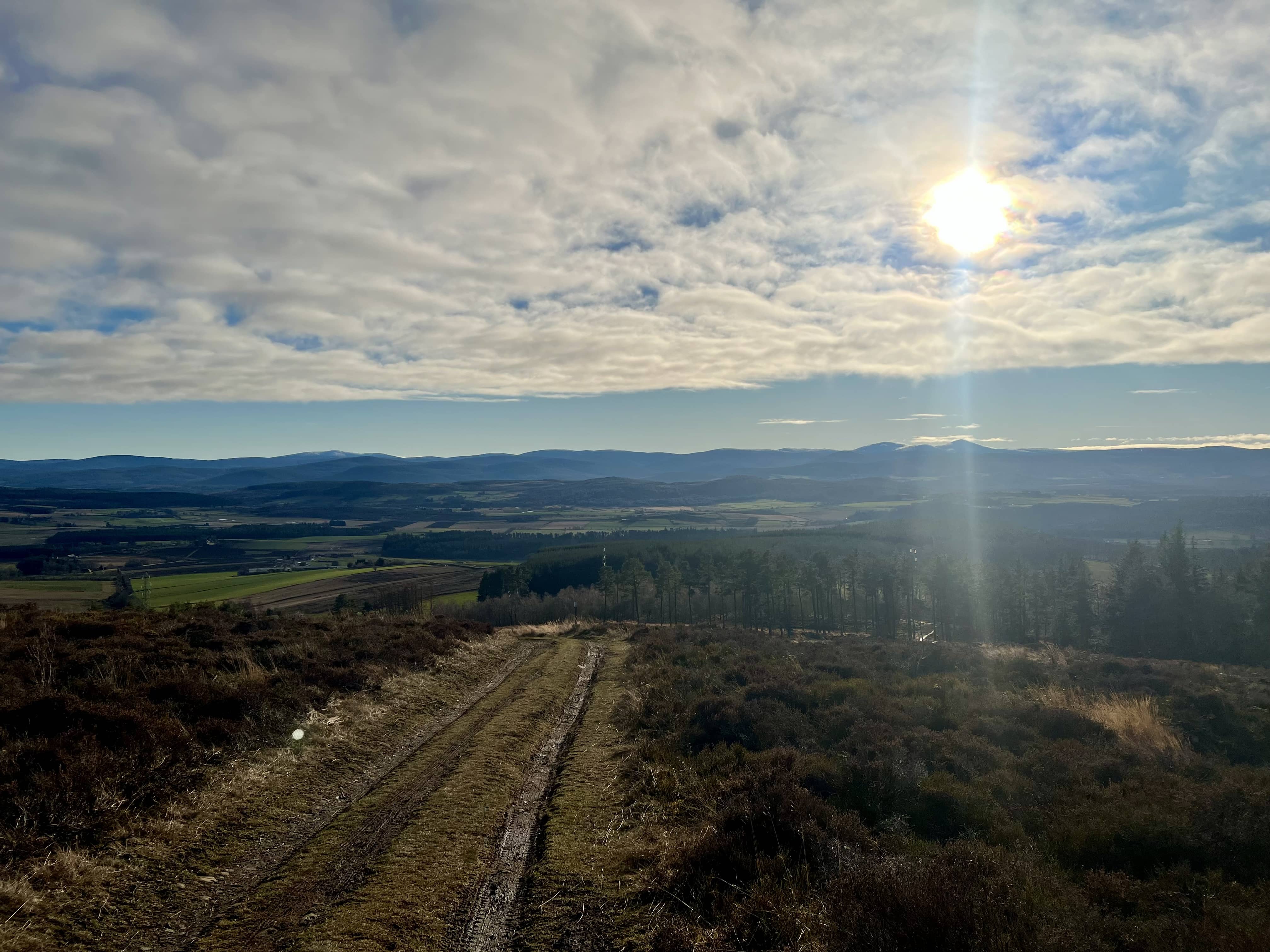 Looking back down the track, across to Mount Keen in the distance