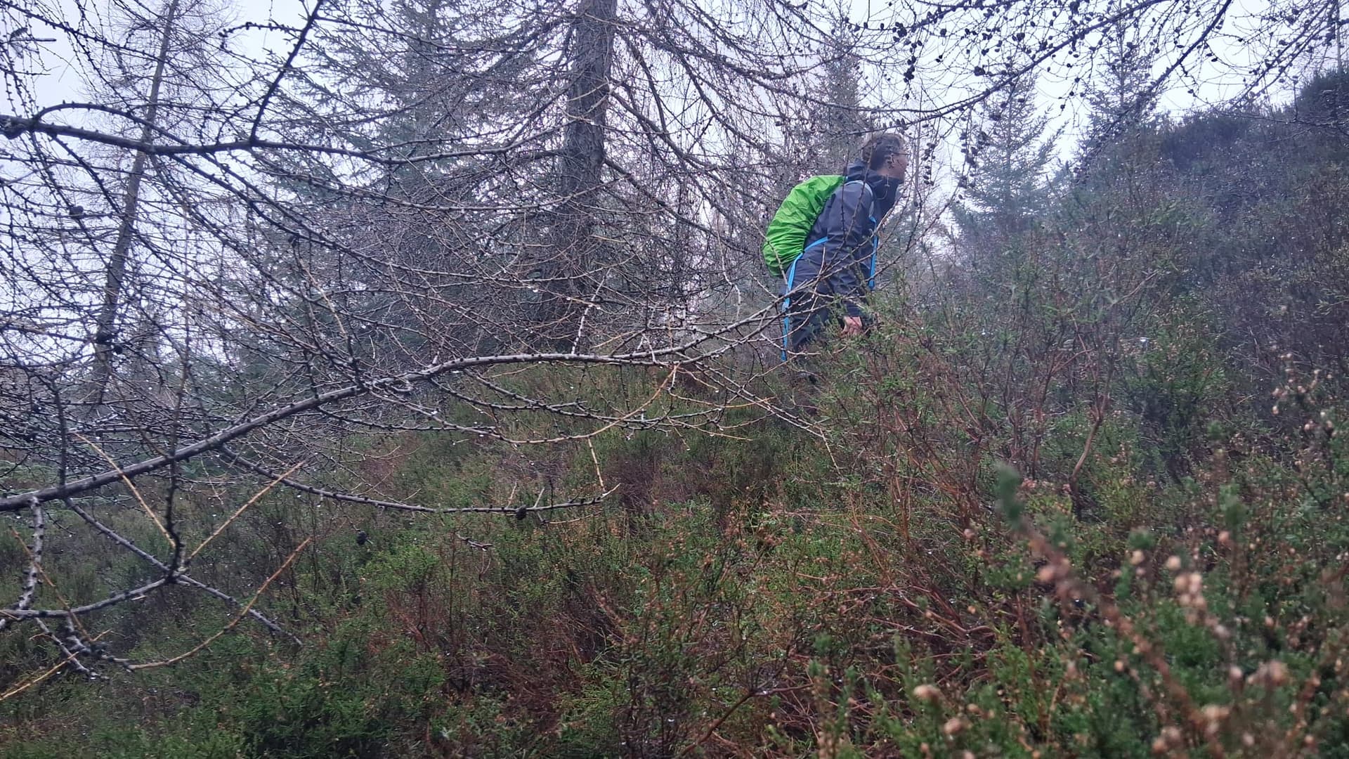 Looking for the summit