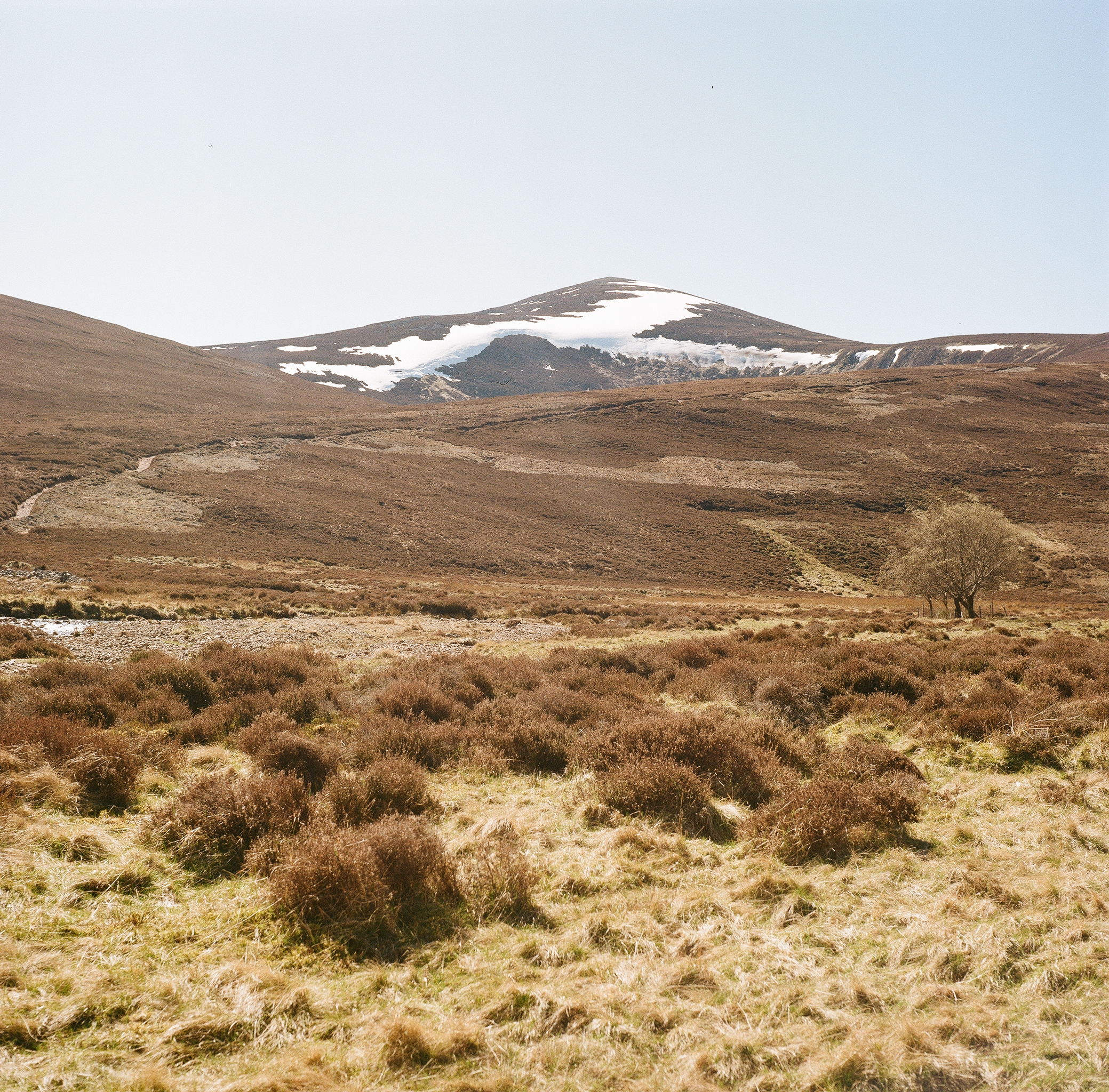 Mount Keen ahead