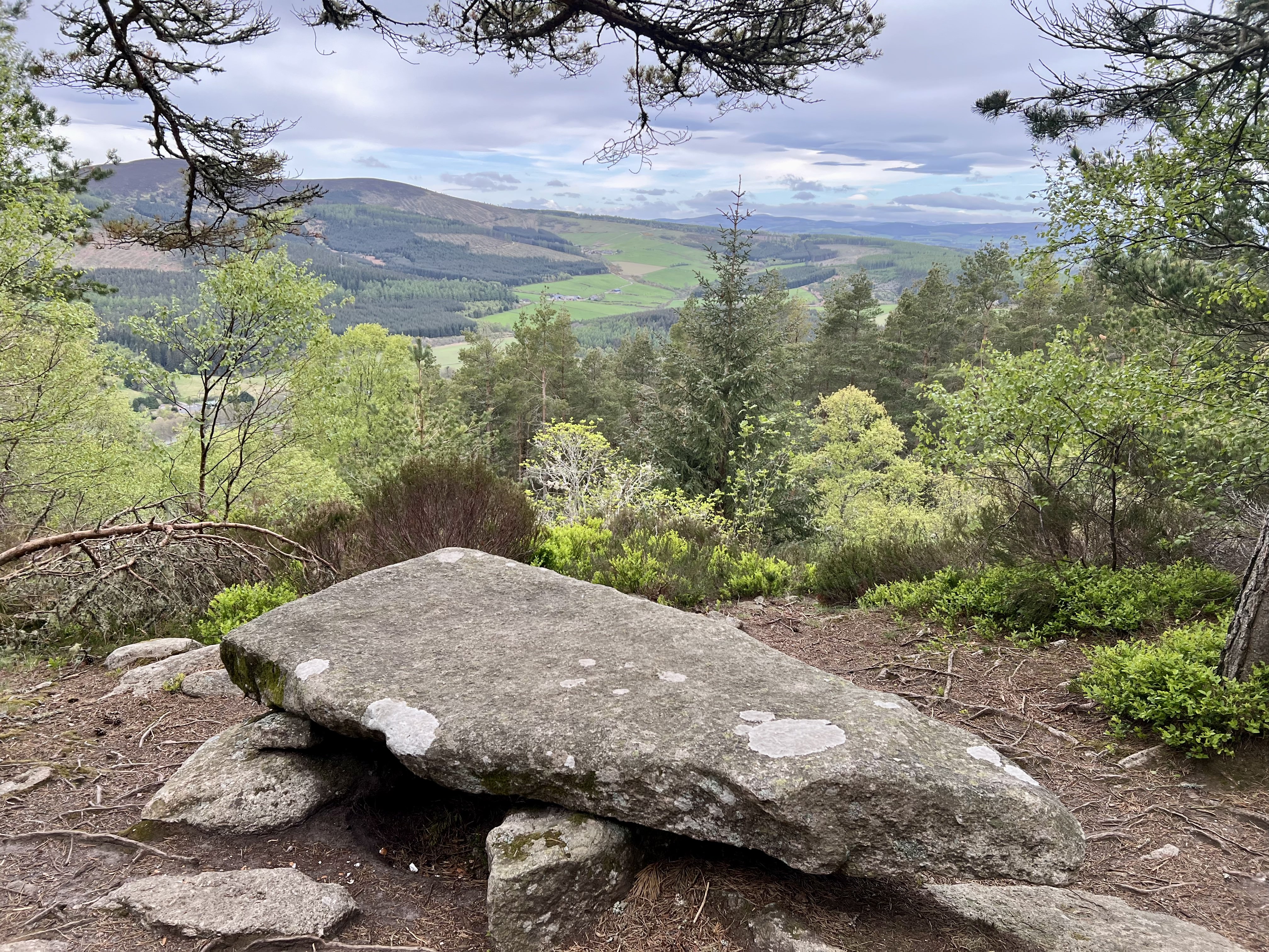 A viewing bench