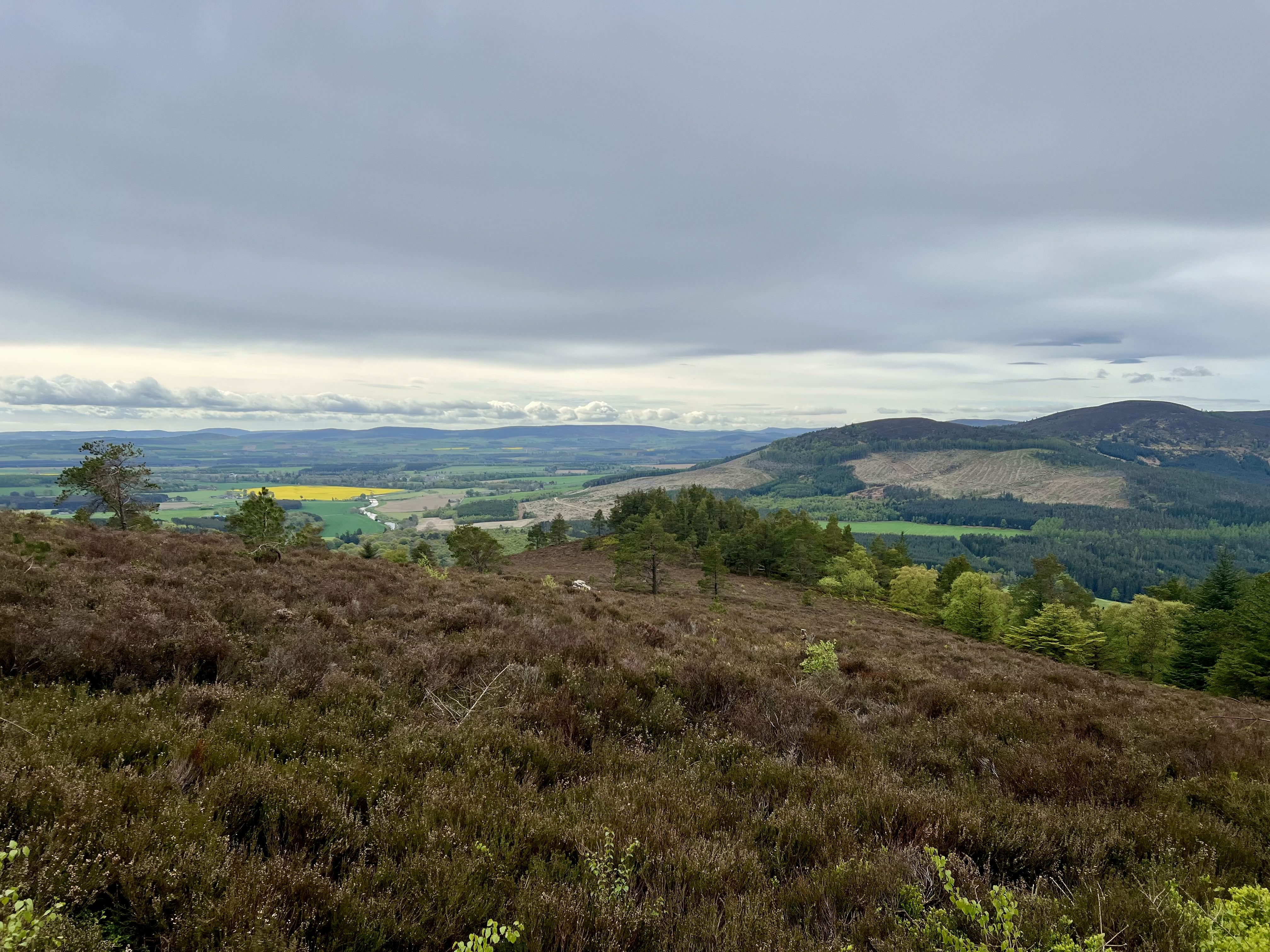 Towards Aberdeen