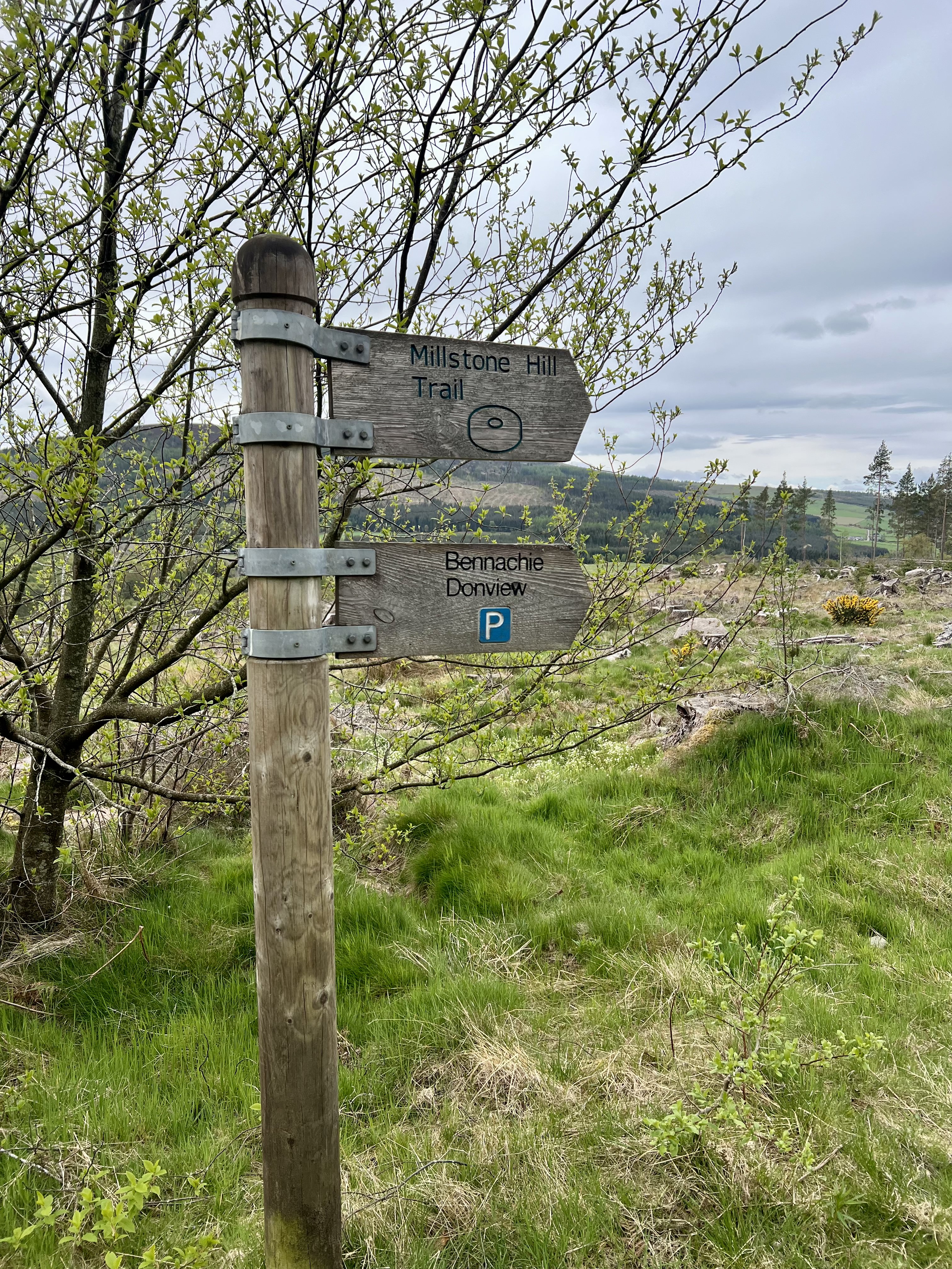 Millstone Hill