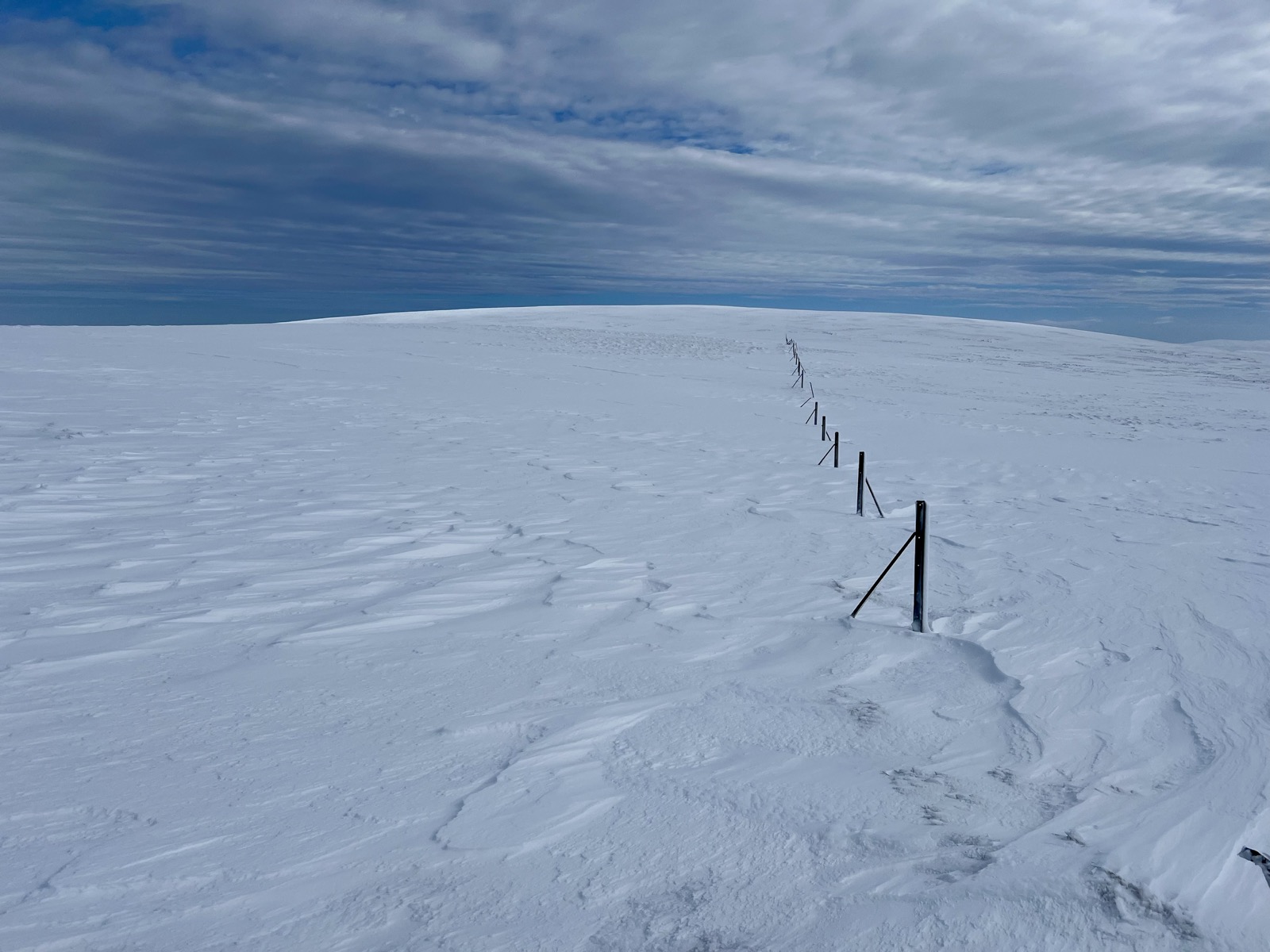 Follow the fence line
