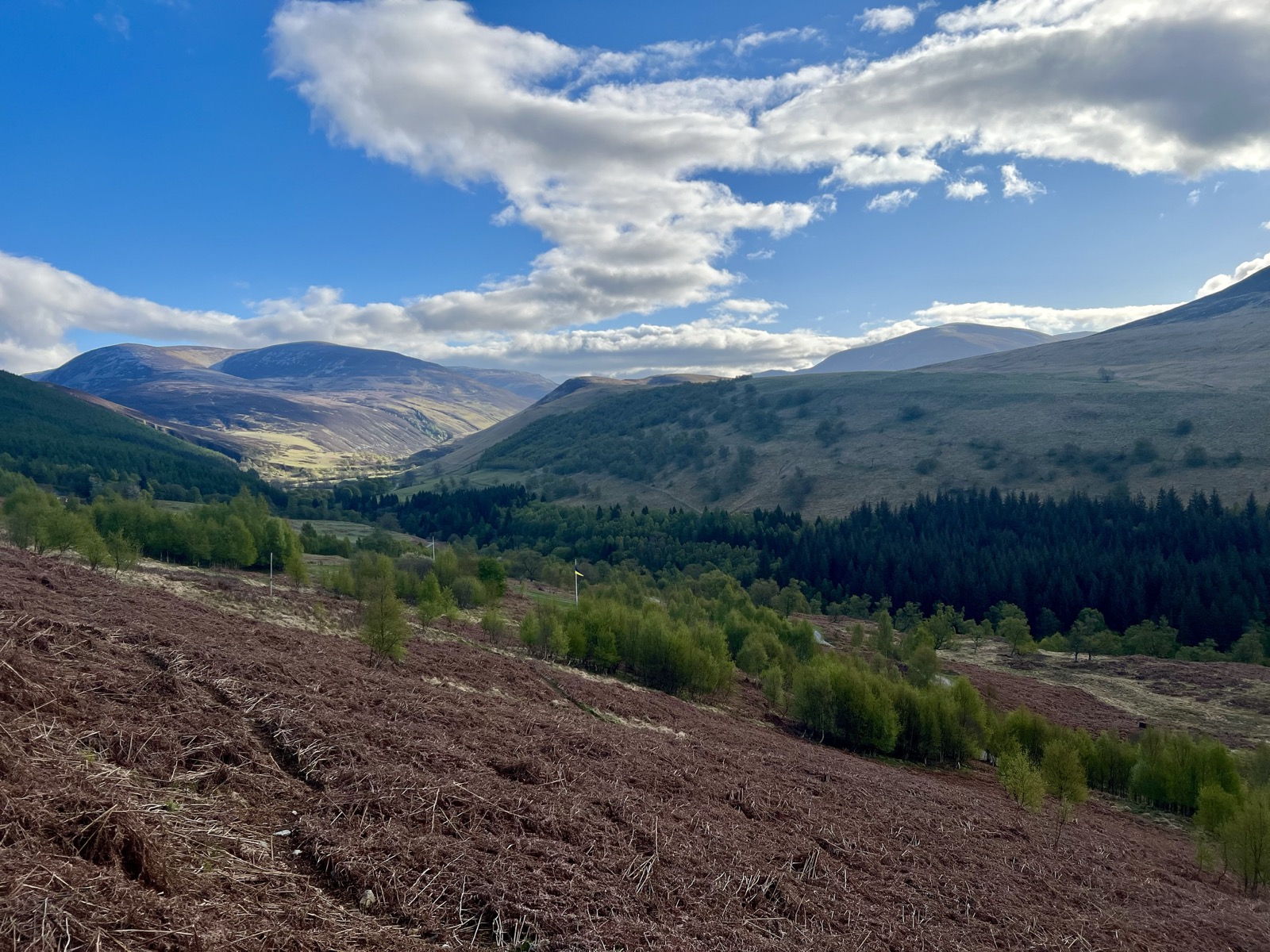 A nice morning in Glen Tilt