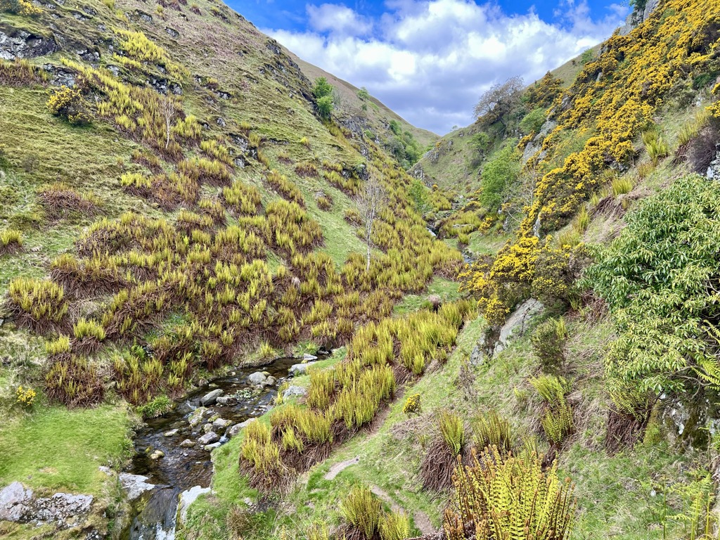 A steep gulley