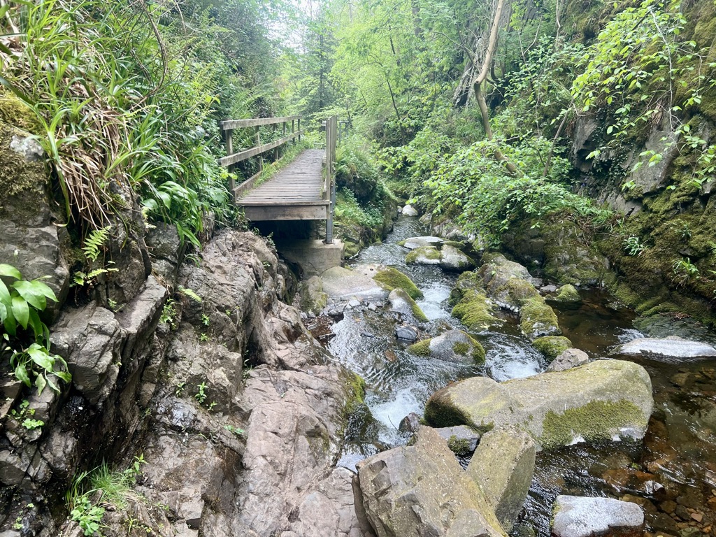 A missing bridge