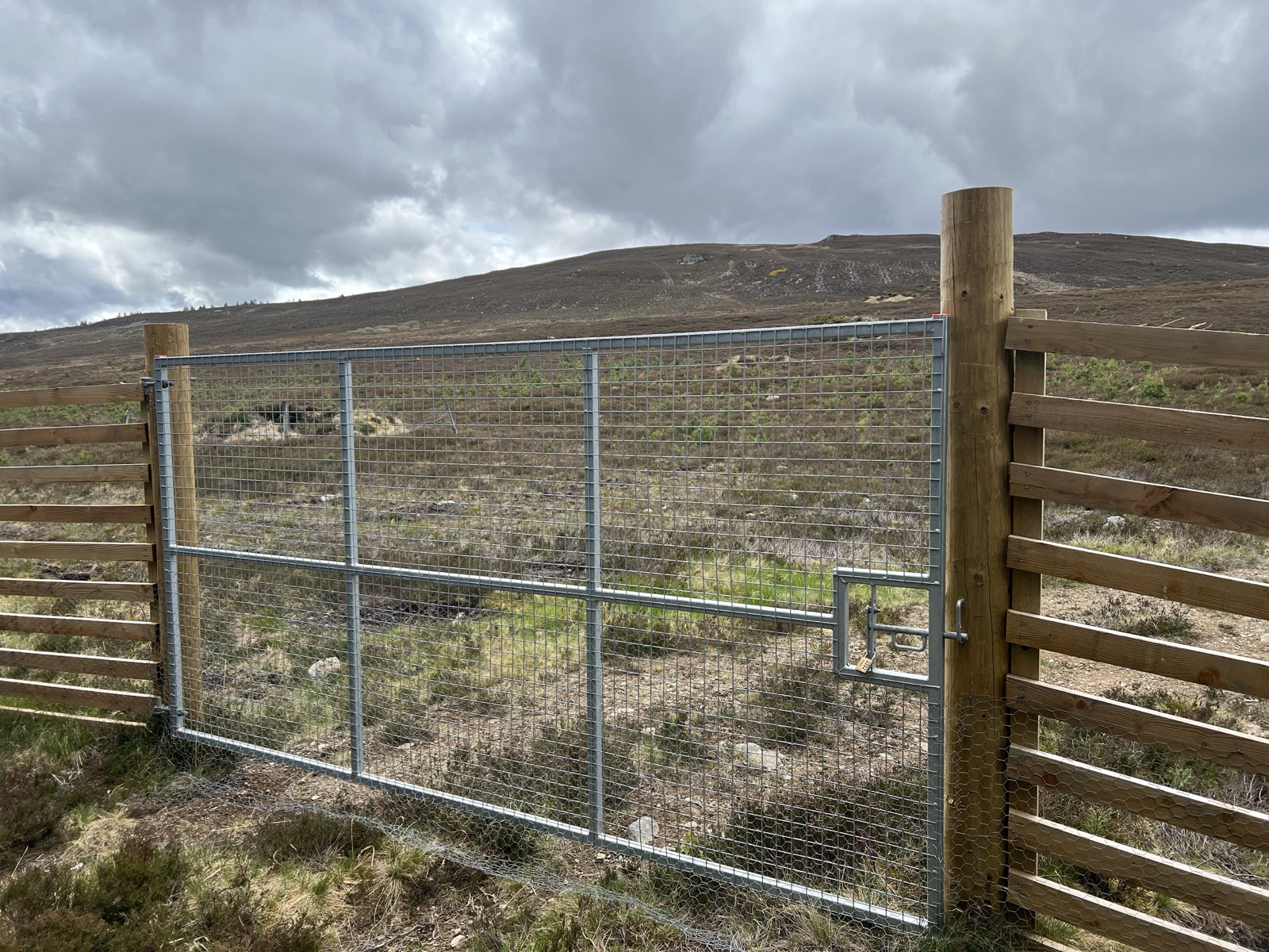New deer gates